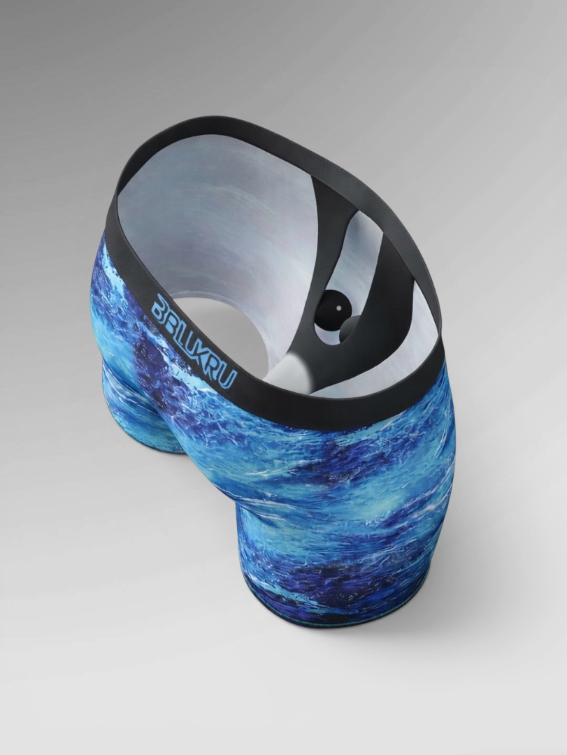 Iconic Boxer Brief - Image 3